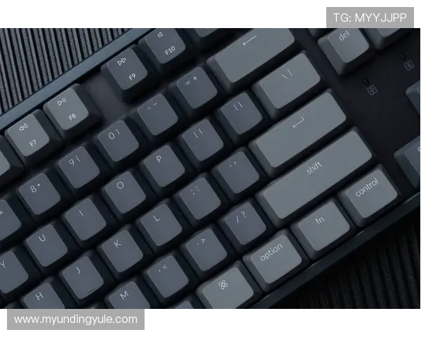 K8真人试玩平台支持多种游戏类型，满足不同玩家的娱乐需求与偏好